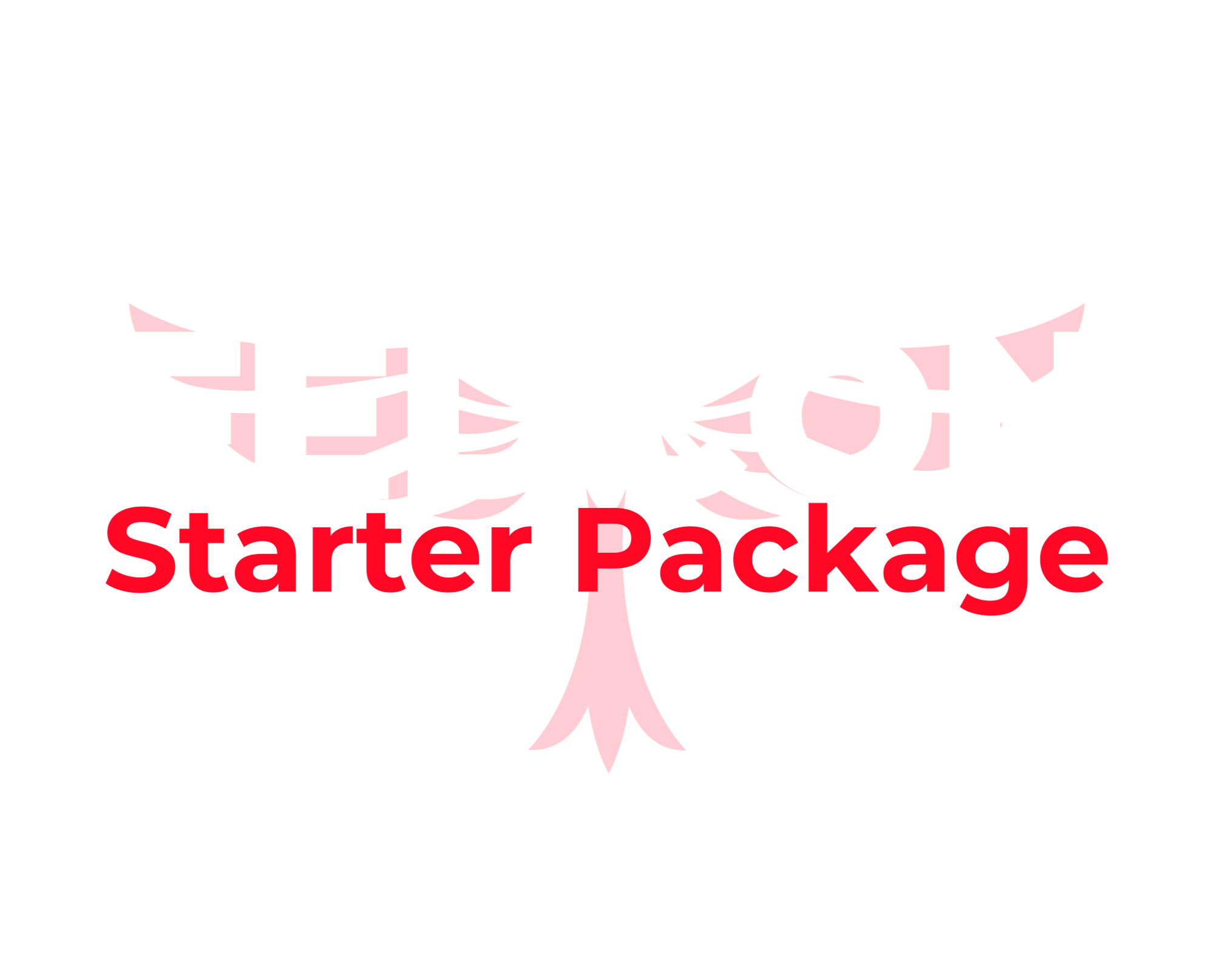 Starter W&R (2061 x 1665 px)