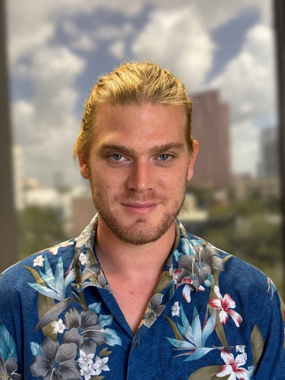 DYLAN 2